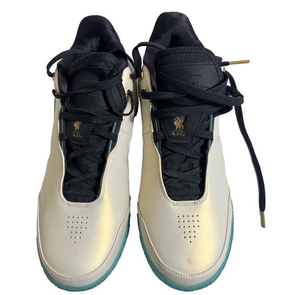 Nike Zoom LeBron NXXT Gen AMPD Men's Size 11.5 - Picture 2 of 10